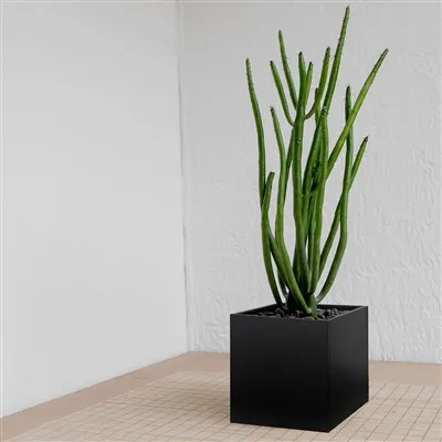 스테인레스 스틸 화분 금속 정원 화분